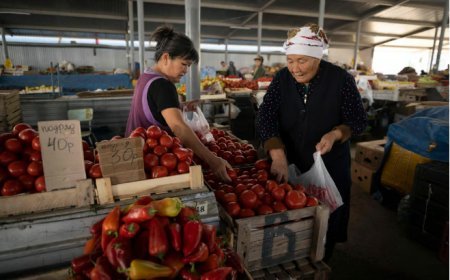 Russia bans fruit and veg from Kazakhstan after country refuses to join BRICS