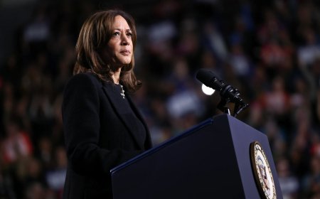 Why the Democratic Party Lost in 2024: Progressives Demand Bold Change Amid Growing Discontent